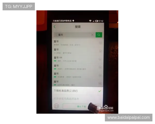 壹号app下载苹果手机的详细步骤与操作指南